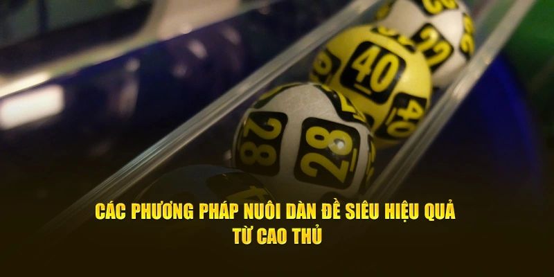 Các phương pháp tối ưu giúp soi cầu